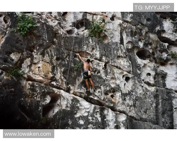 上海攀岩队在全国个人能力排行榜中荣登第十名展现出色攀岩实力与团队精神