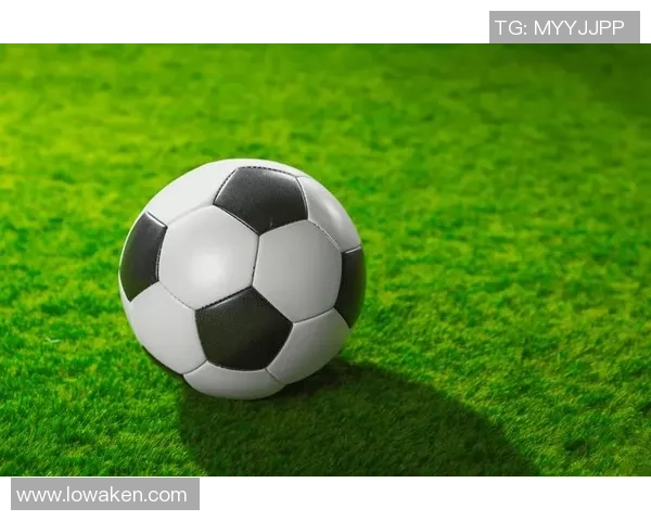 下载东南足球应用，畅享精彩赛事直播与最新动态，足球迷的必备神器