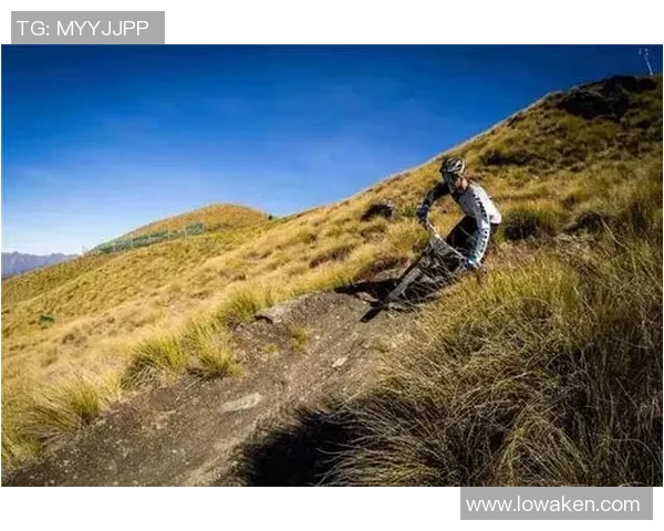 极限运动战术解析：成都极限运动队的防守反击体系探讨与实践