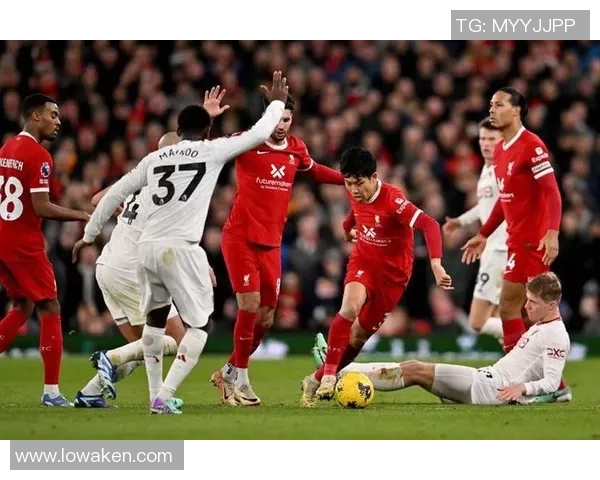 深入解析专业足球书籍的魅力与价值，助力球迷提升战术理解与比赛分析能力