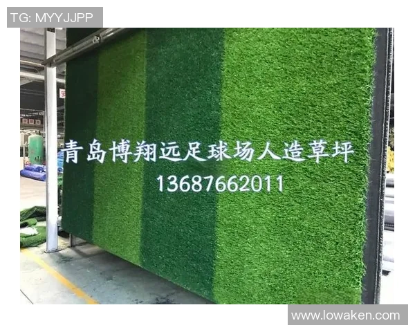 足球场草坪的价格究竟有多贵最高能达到多少钱你知道吗